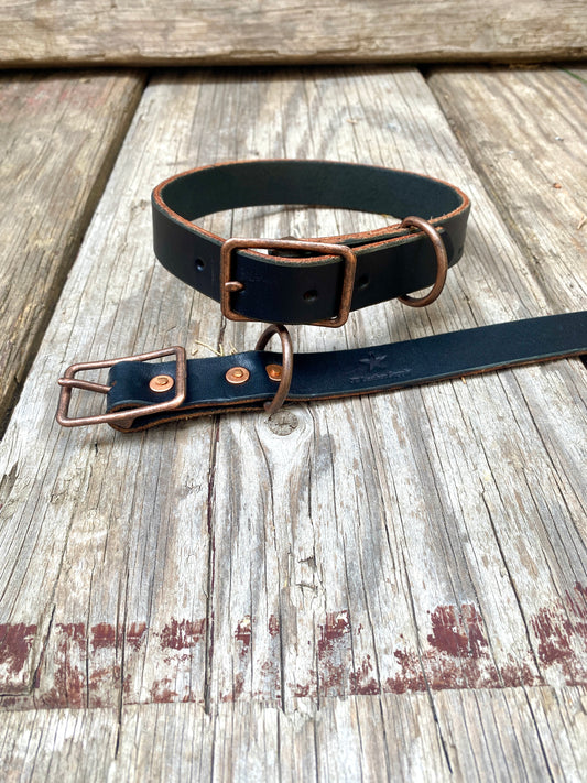 Dog Collar