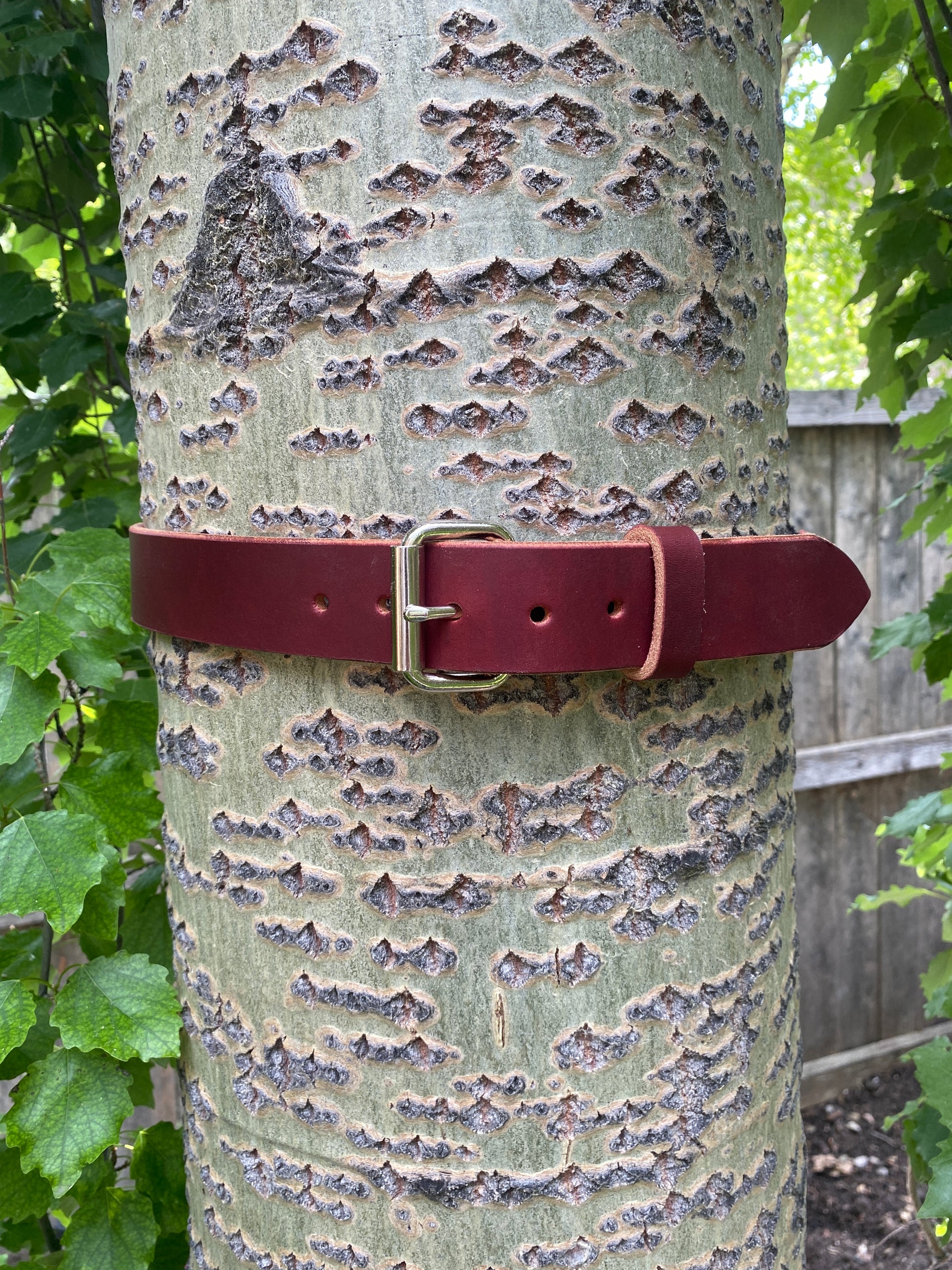 burgundy belt, latigo belt