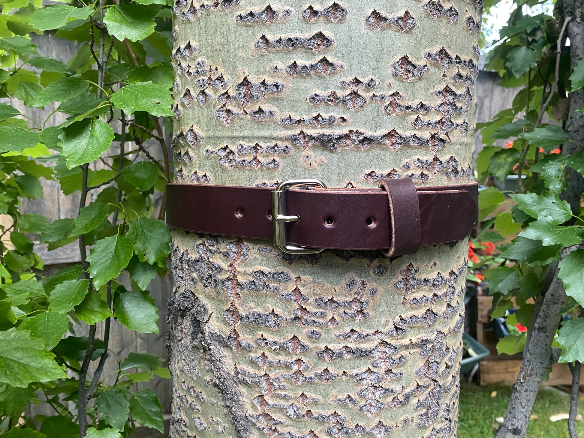 brown leather belt